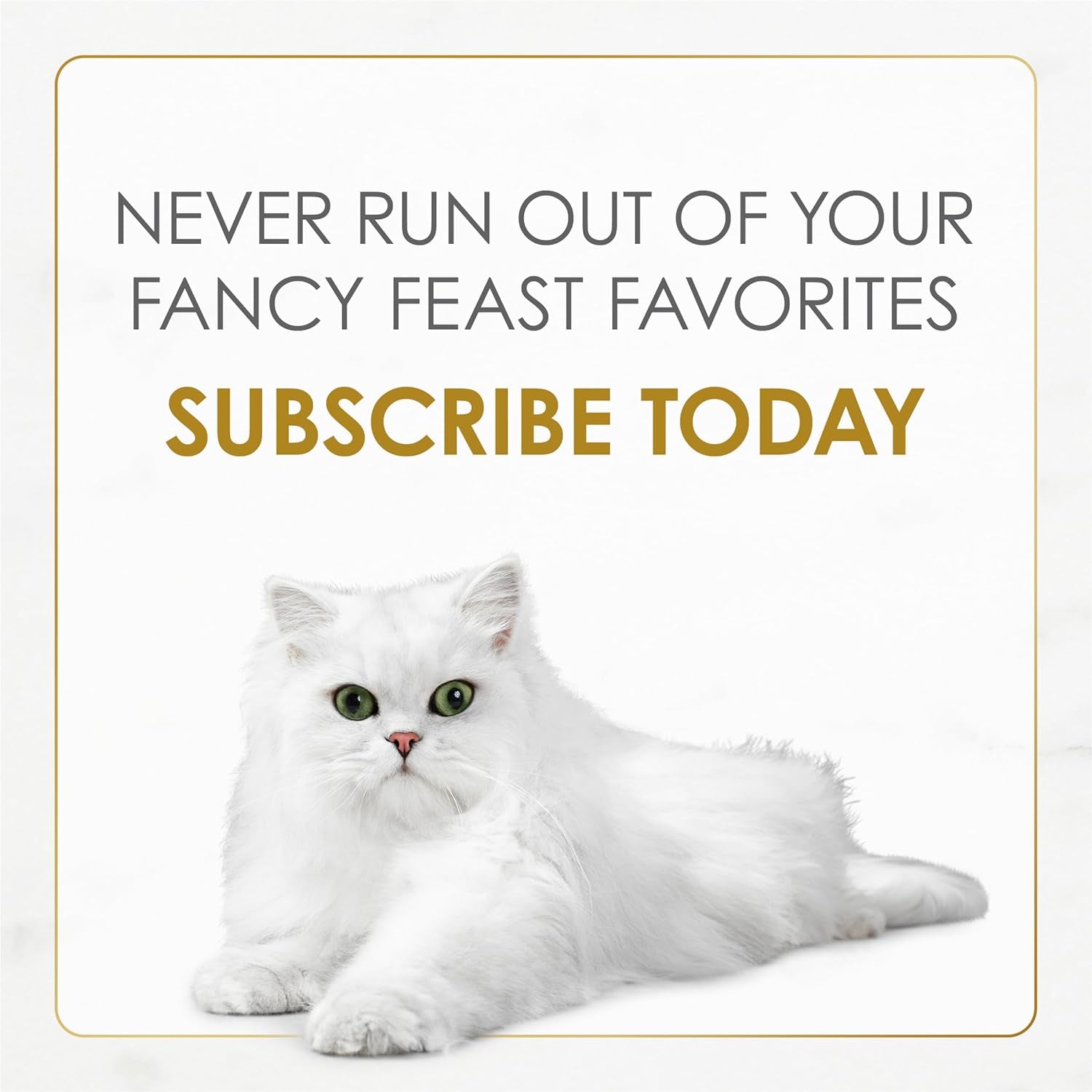 Purina  Gourmet Wet Cat Food Variety Pack, Petites Pate Collection, Break-Apart Tubs, 24 Servings - (Pack of 12) 2.8 Oz. Tubs